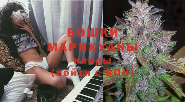 бошки Алексин