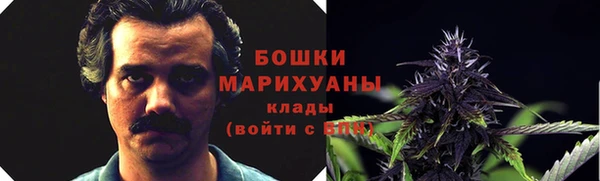 стаф Арсеньев