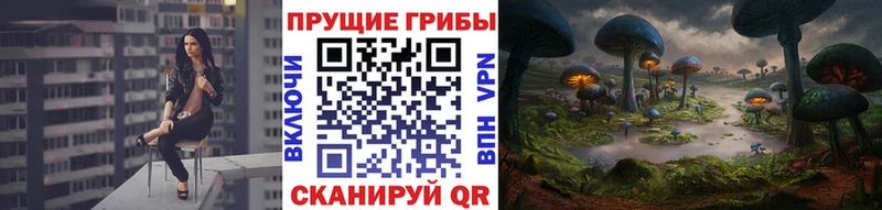 наркотики  Ухта  Псилоцибиновые грибы Psilocybine cubensis 